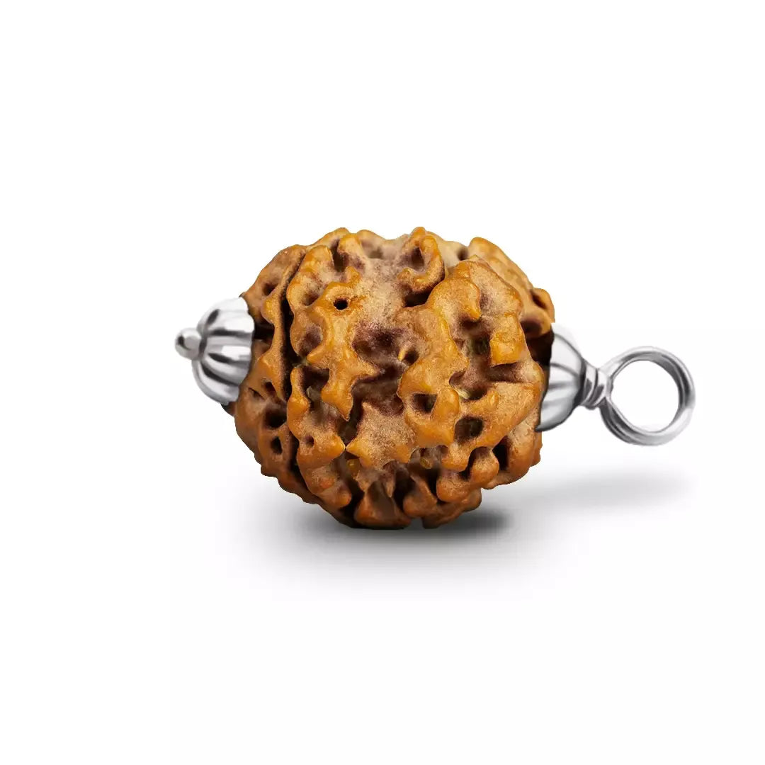 1 Mukhi Rudraksh (Nepali)