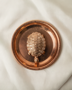 Vastu tortoise