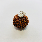 10 Mukhi Rudraksh (Nepali)