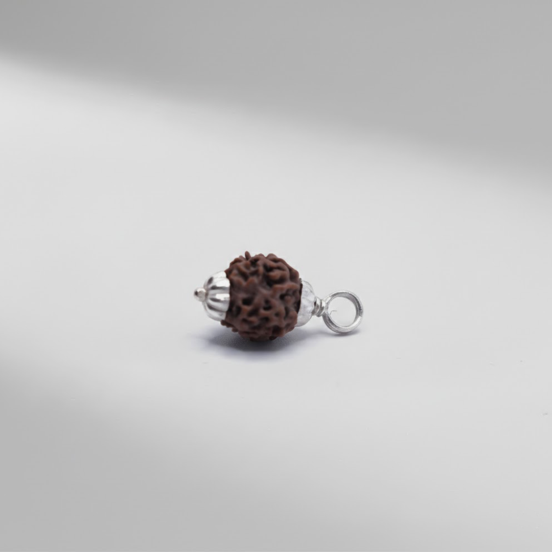 3 Mukhi Rudraksh (Nepali)