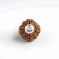4 Mukhi Rudraksh (Nepali)
