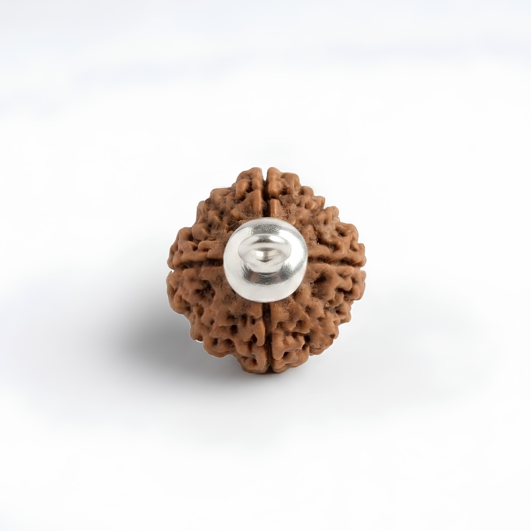 4 Mukhi Rudraksh (Nepali)