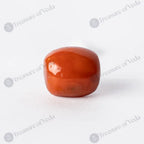 Coral - 14.35 Carats
