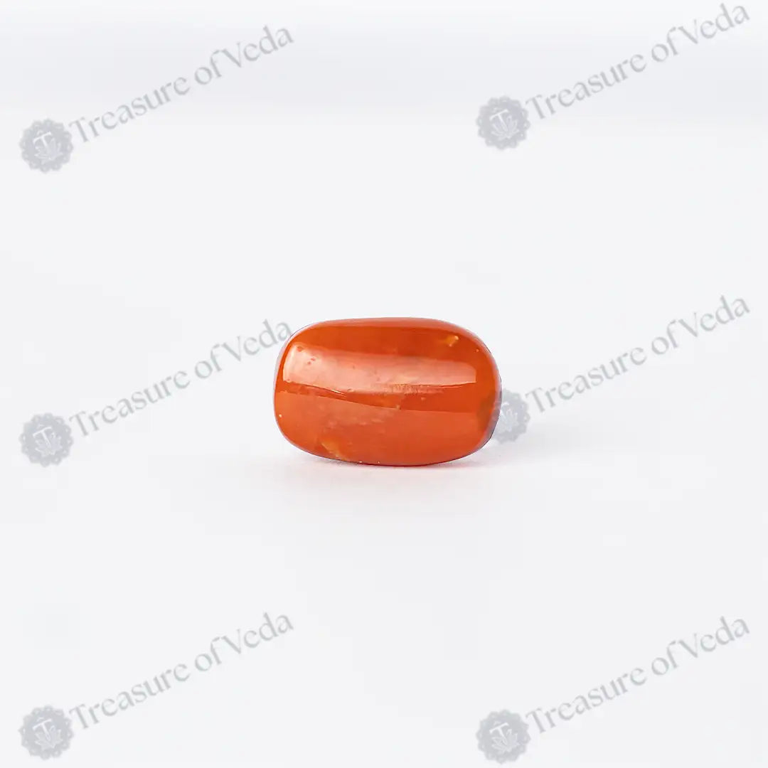 Coral - 8.64 Carats