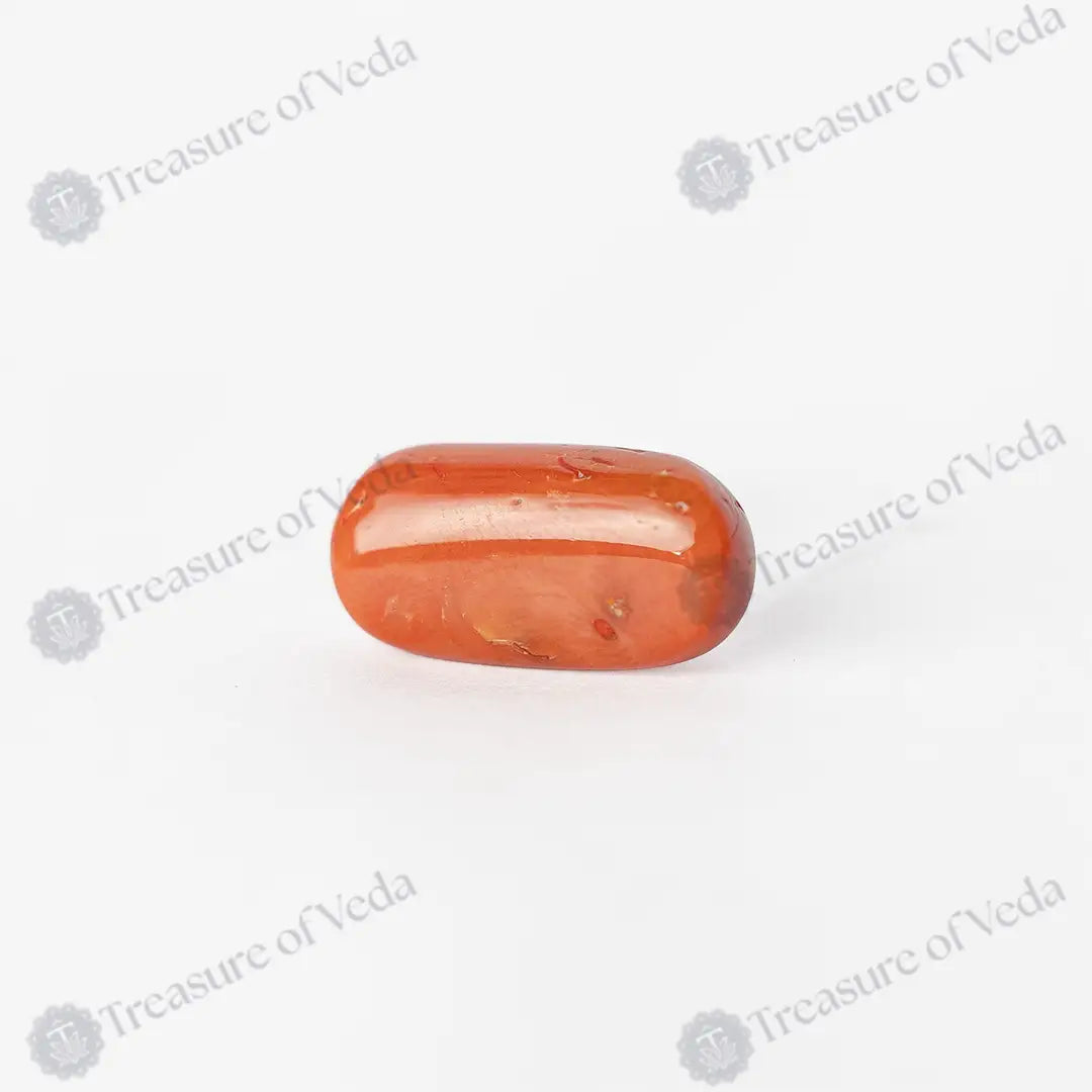 Coral - 10.5 Carats