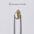 Pearl - 10.9 Carats