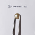 Pearl - 6.55 Carats