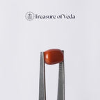 Coral - 8.64 Carats