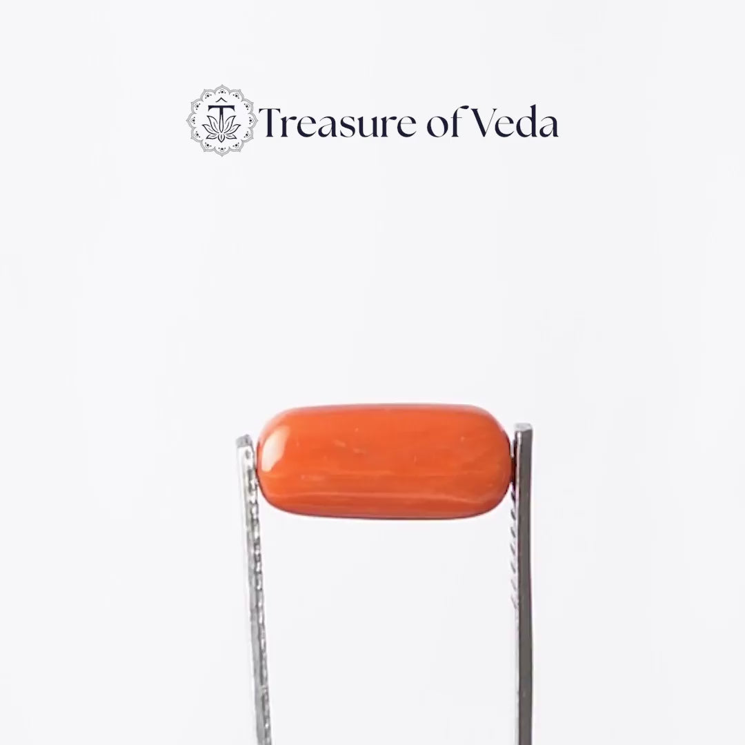 Coral - 9.5 Carats