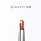 Coral - 10.5 Carats