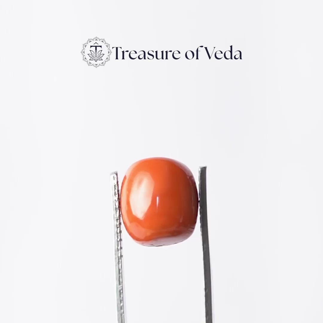 Coral - 14.35 Carats